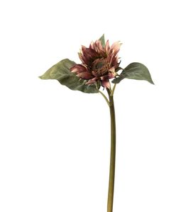 Hovedbilde Mr Plant Solsikke Lilla